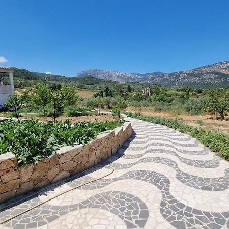 Villa Biriculi 도르갈리 외부 사진