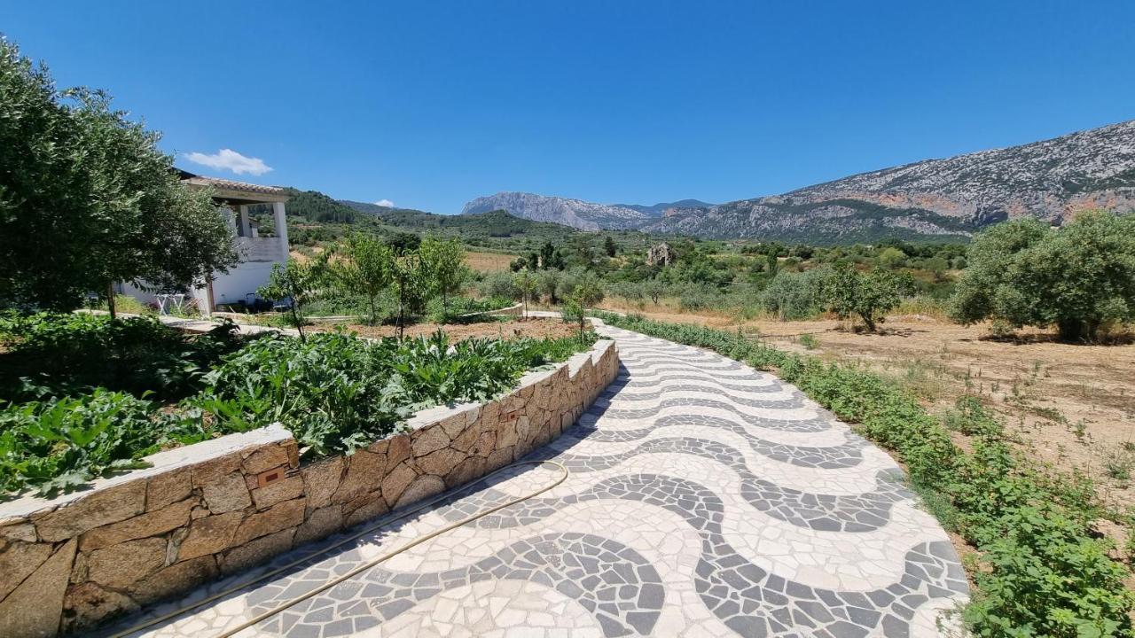 Villa Biriculi 도르갈리 외부 사진
